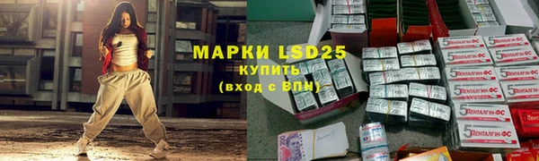 спиды Богданович