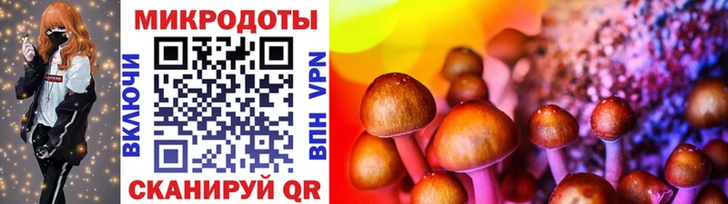 Псилоцибиновые грибы MAGIC MUSHROOMS  купить закладку  omg маркетплейс  Кириши 